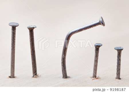 line of nails line of nails 9198187