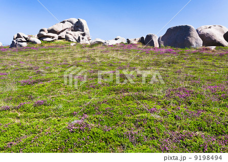 moorland with stone boulders in Brittany 9198494