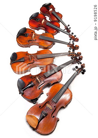 different sized violins different sized violins 9198526