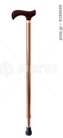 walking stick 9199099