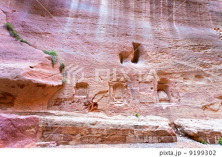 niches, shrines and carvings in wall of Siq, Petra 9199302