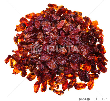 many red barberries many red barberries 9199407