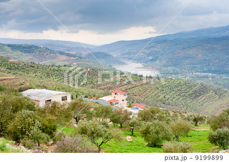 mountain valley and river in Jordan 9199899