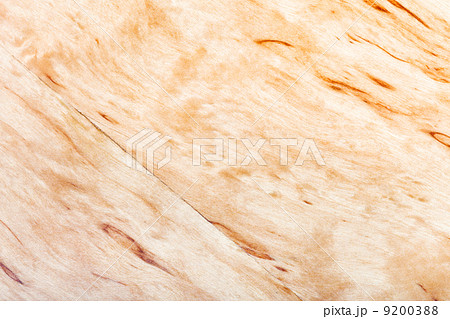 texture of silver birch burl 9200388