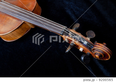 violin scroll on black velvet background 9200565