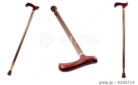 walking stick walking stick 9200714