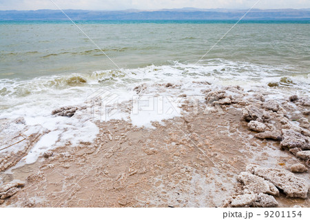 crystalline salt on beach of Dead Sea 9201154