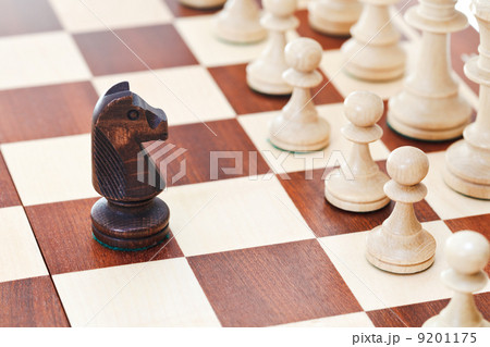 black knight on chessboard 9201175