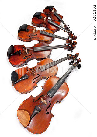 different sized fiddles 9201192