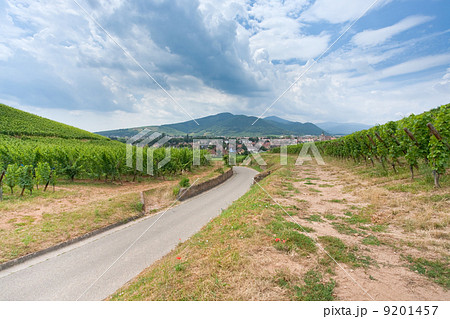 view on town on Route des Vins d'Alsace , France view on town on Route des Vins d'Alsace , France 9201457