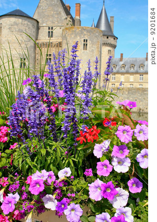 flowers in front of castle 9201684