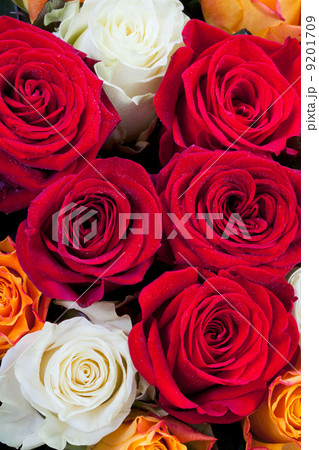 bouquet of roses 9201709