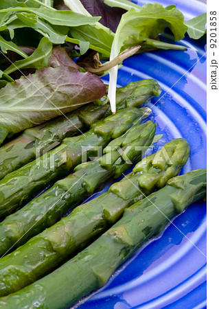 boiled green asparagus 9201858