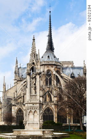 Fountain of the Virgin and Notre-Dame de paris Fountain of the Virgin and Notre-Dame de paris 9202194