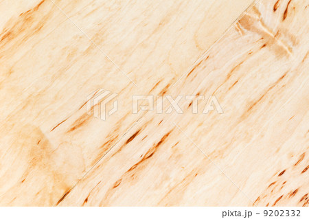 texture of silver birch burl 9202332