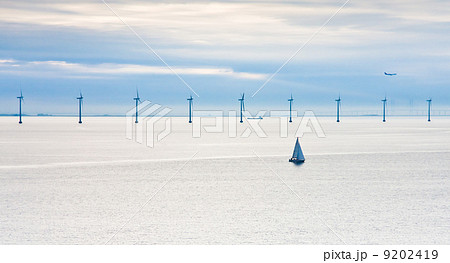 offshore wind farm at early morning 9202419
