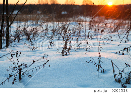 sunset under snowy country field 9202538