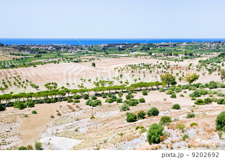 rural view on Mediterranean coast in Sicily 9202692