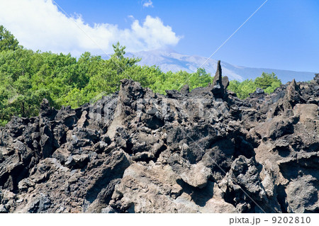 lava rocks close up lava rocks close up 9202810
