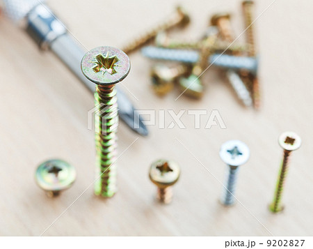 screwdriver and different size screws 9202827