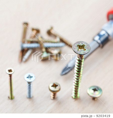 screwdriver and screws wrapped in wooden board 9203419