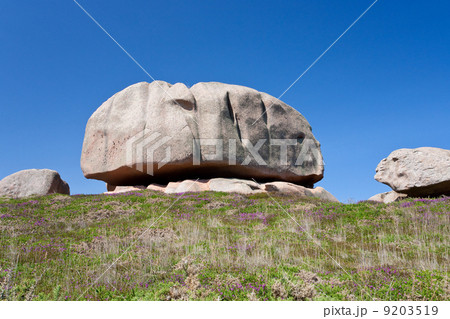 rock heath wasteland 9203519