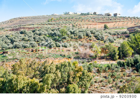 stone terraces on mountain in Jordan stone terraces on mountain in Jordan 9203930