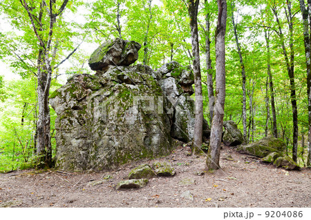Rock Devil finger in caucasus mountains 9204086