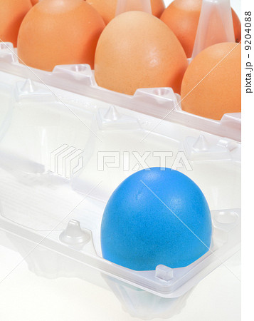 one separate blue chicken egg one separate blue chicken egg 9204088