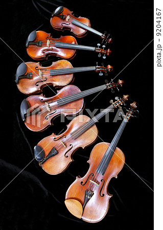 family of different sized fiddles on black 9204167