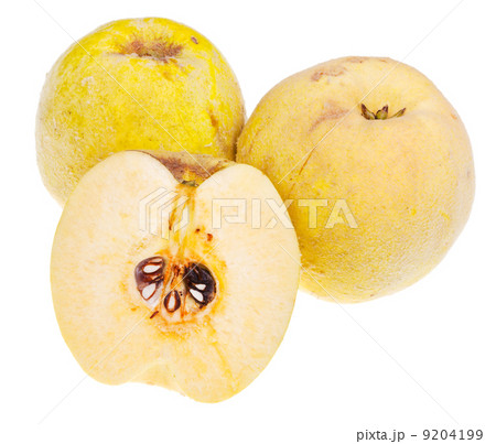 three ripe quince three ripe quince 9204199
