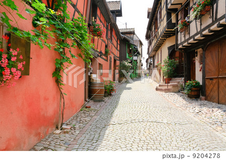 alley in medieval Riquewihr town, France alley in medieval Riquewihr town, France 9204278