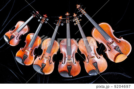 family of different sized violins on black 9204697
