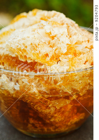 fresh honey in comb 9204793