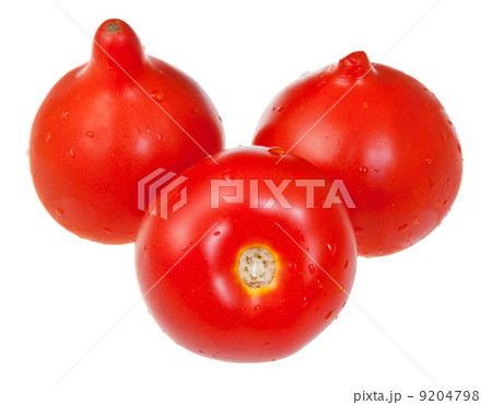 red fresh tomatoes red fresh tomatoes 9204798