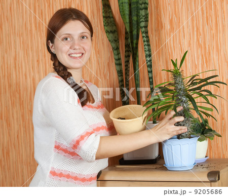 woman repotting Pachypodium cactus 9205686