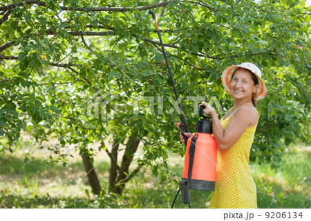 Woman spraying tree branches Woman spraying tree branches 9206134