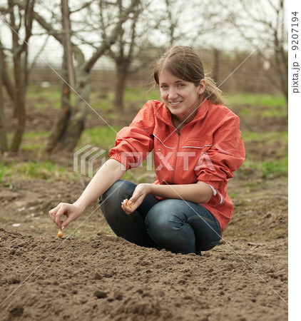 woman checkrows set onion i woman checkrows set onion i 9207194