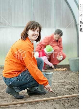 family sows seeds in soil family sows seeds in soil 9208066
