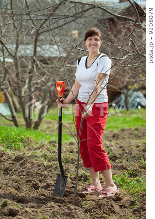 woman planting fruit tree woman planting fruit tree 9208079