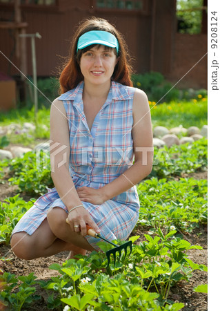 woman prongs strawberry at garden woman prongs strawberry at garden 9208124