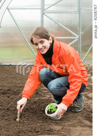 woman resetting sprouts woman resetting sprouts 9208767