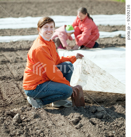 family warms the soil with polyethylene 9209236