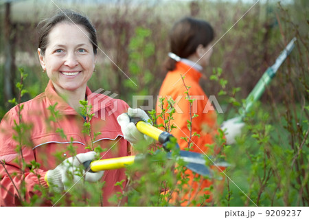 women pruning bush women pruning bush 9209237