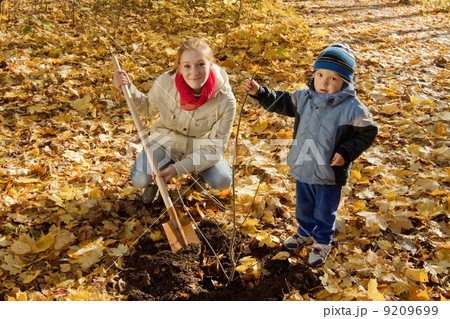 family planting tree in autumn family planting tree in autumn 9209699
