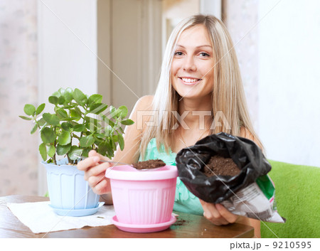 woman transplants Kalanchoe plant in flowerpot 9210595