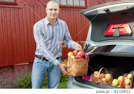 Guy puts apples in the trunk of car 9210652