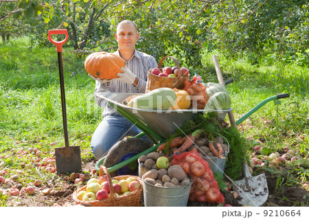 man with vegetables harvest in garden 9210664
