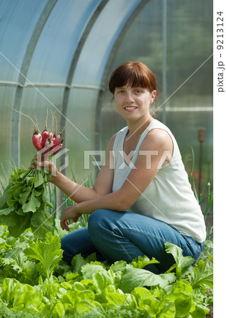woman picking radish woman picking radish 9213124