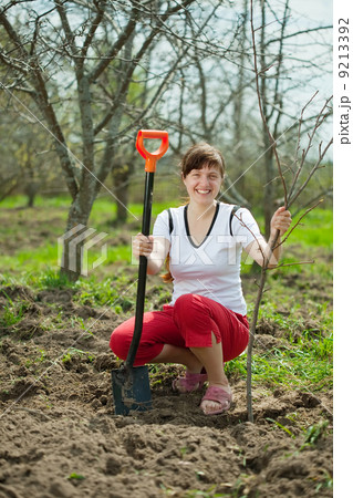 Happy woman planting tree 9213392